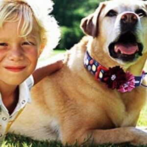 Bleie Black with Multicolored Pear Print Dog Collar Size L
